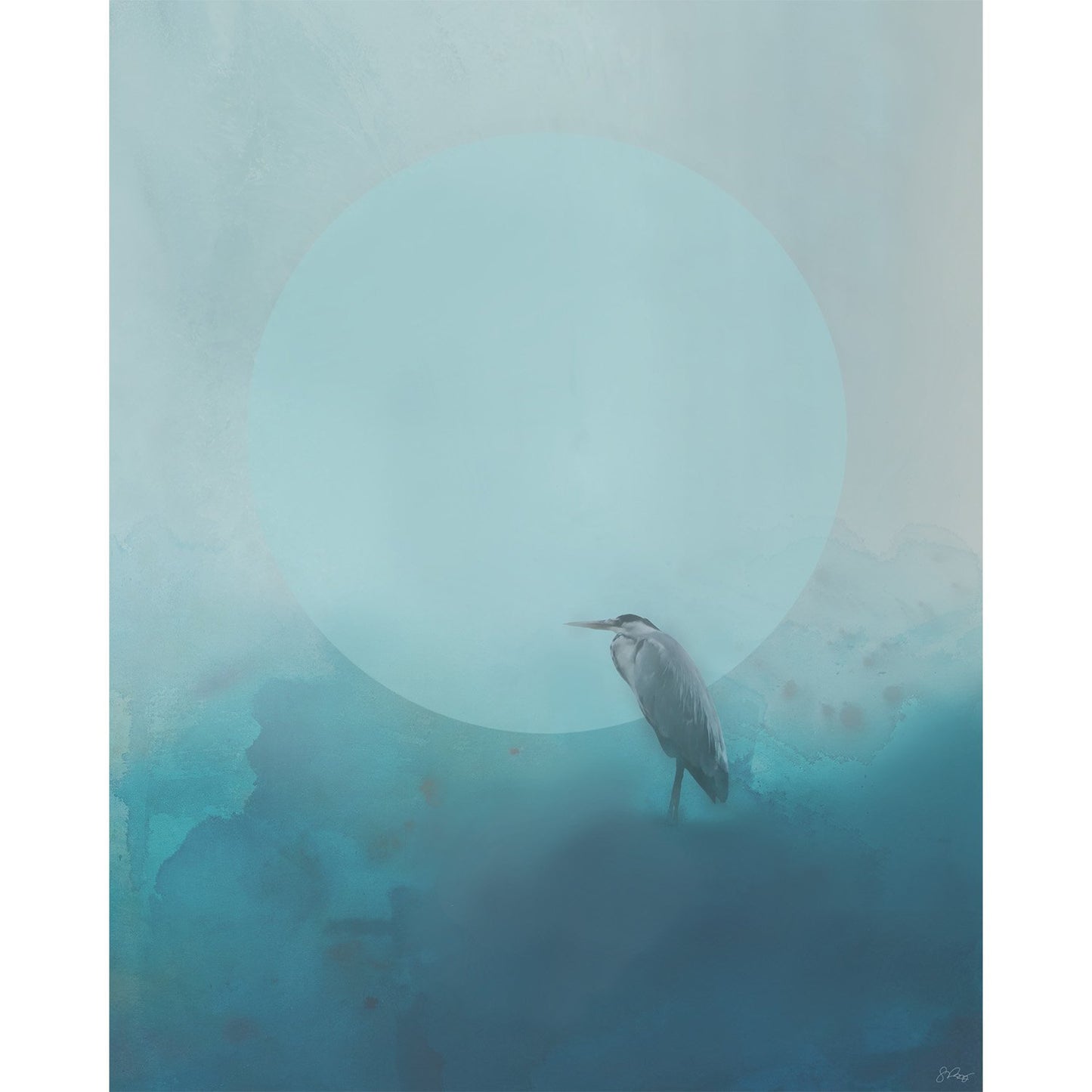 Searching for Herons