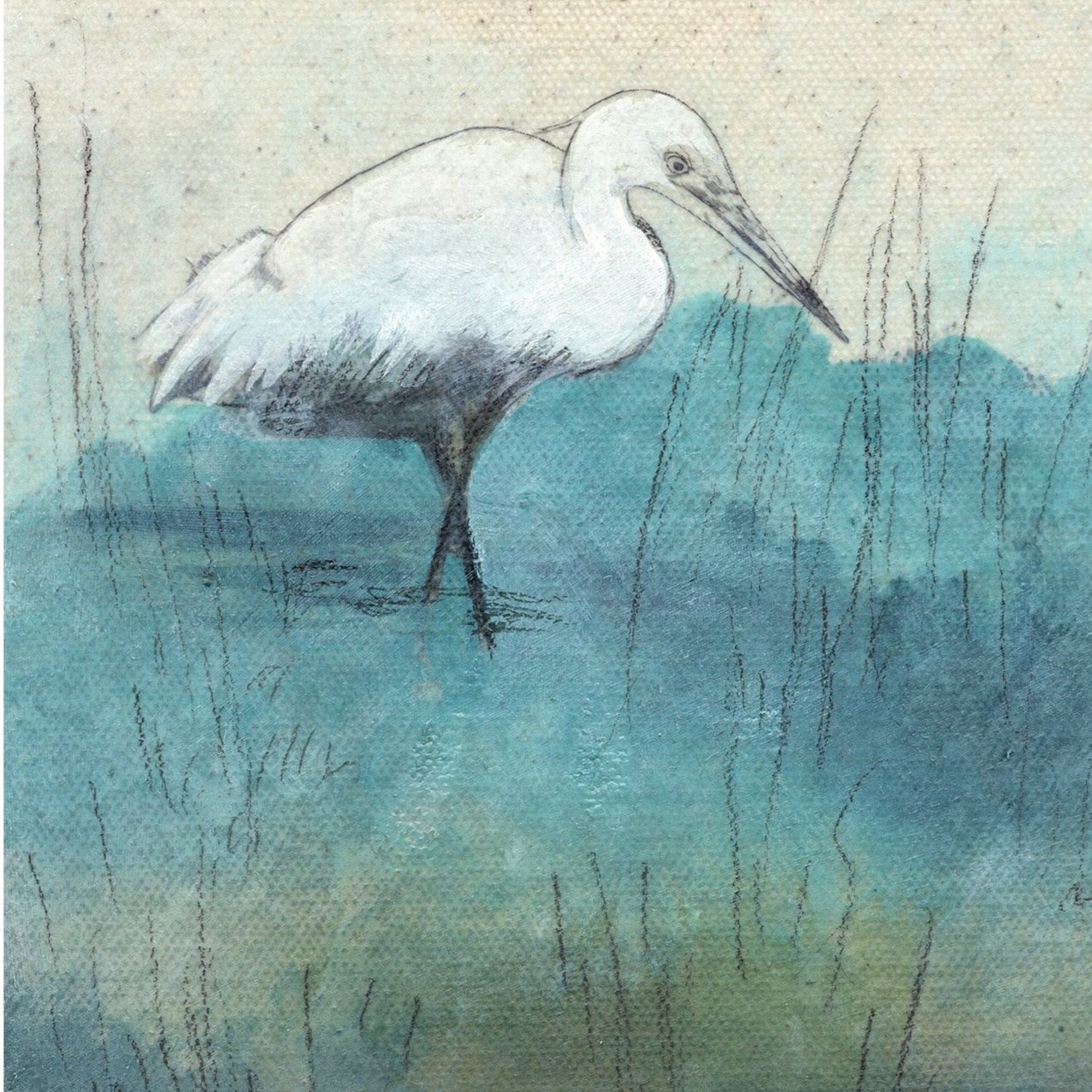 Among the Reeds